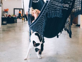 Woman lying in hammock with dog standing under