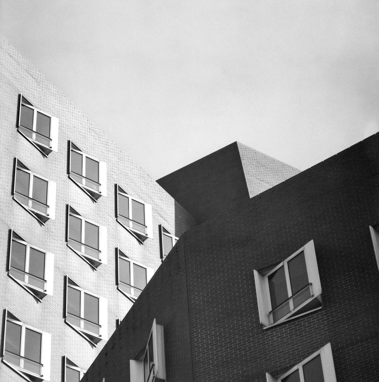 architecture, building exterior, built structure, building, window, black and white, monochrome, white, black, monochrome photography, low angle view, residential district, city, sky, house, no people, facade, apartment, nature, tower block, outdoors, wall, day