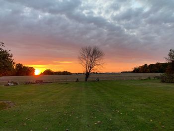 Scenic view of field against sky during sunset