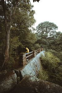 Scenic view of waterfall in forest against sky