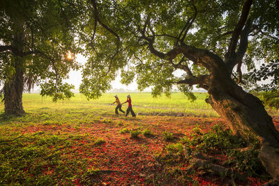 People on field by trees