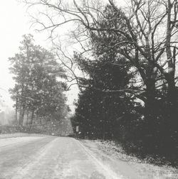 Road amidst trees against sky