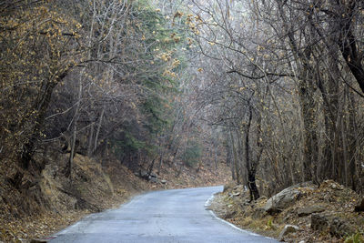Road amidst bare trees in forest