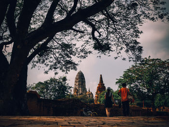 Trees in a temple