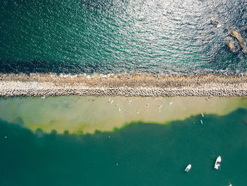 High angle view of jellyfish in sea