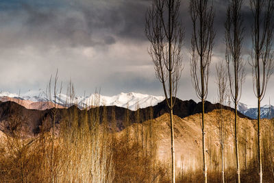 Scenic view of landscape against cloudy sky