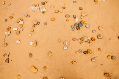 Full frame shot of wet sand and stones