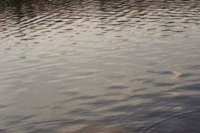 Full frame shot of rippled water