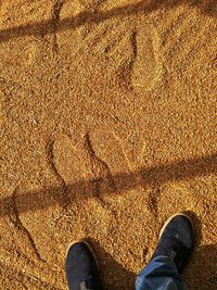 Low section of man standing on sand