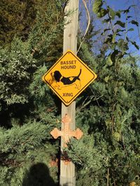 Information sign on tree trunk