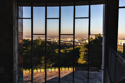 Trees and buildings seen through window during sunset