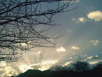 Low angle view of trees against cloudy sky