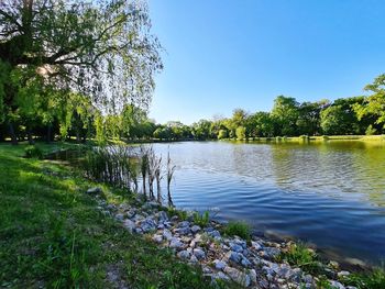 Scenic view of lake against clear sky