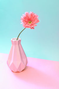 One pink gerbera flower in vase on pastel two tone pink-turquoise. creative minimal floral concept.