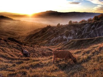 Scenic view of landscape against sky during sunset