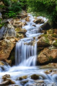 Scenic view of waterfall in forest