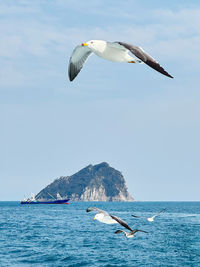 Seagull flying over sea against sky