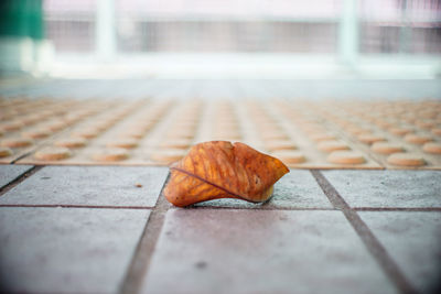 Close-up of dry leaf on footpath