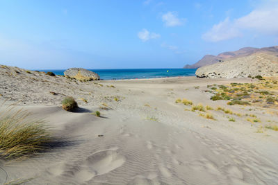 Scenic view of beach against sky