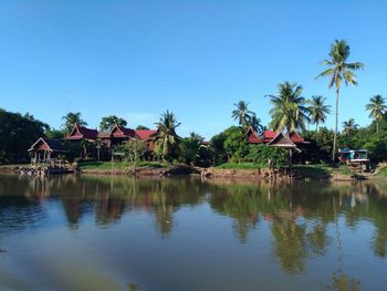 Houses by palm trees against clear sky