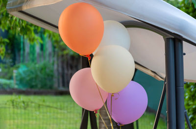 Party balloons