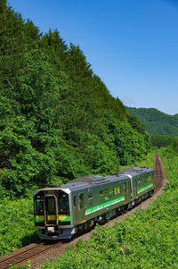 Blue sky, green trees and local train