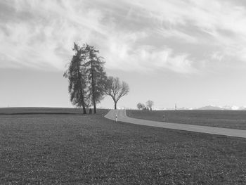 Trees on field against sky