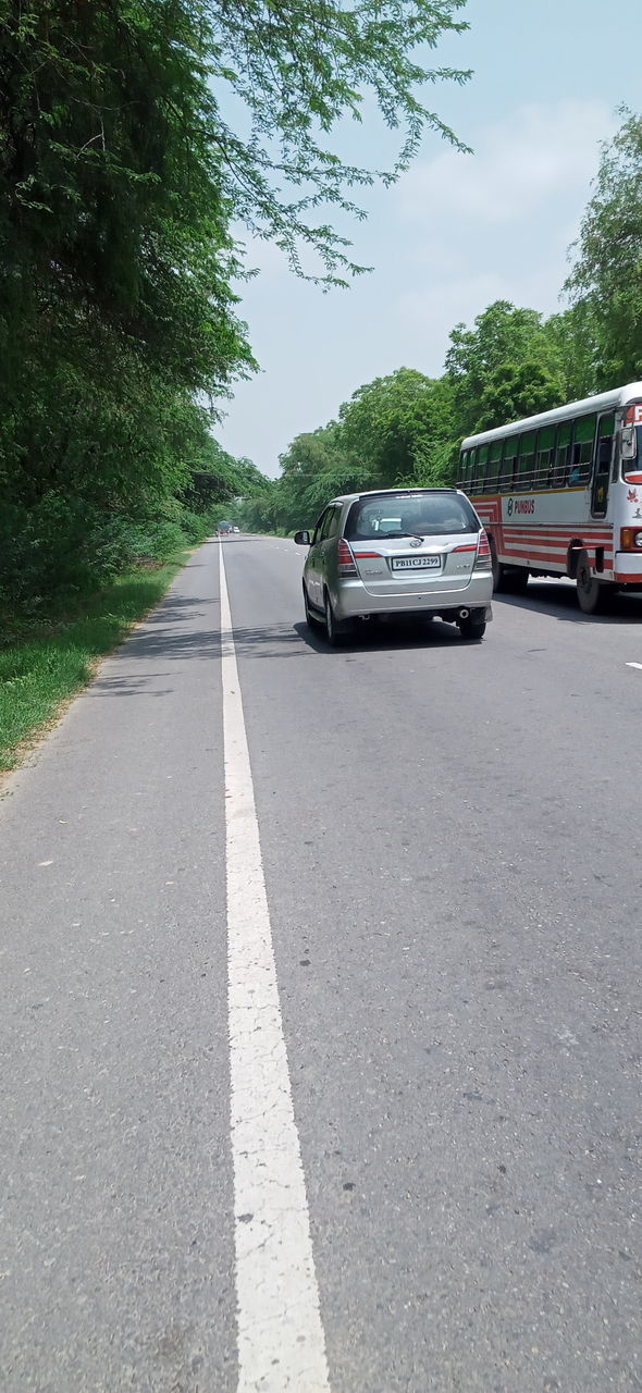 CARS ON ROAD AGAINST TREES AND CITY