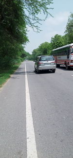 Cars on road against trees in city