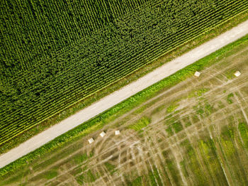 Full frame shot of agricultural field