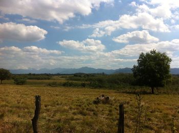 Scenic view of field against cloudy sky