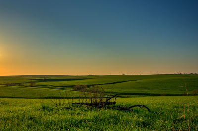 Scenic view of grassy landscape against clear sky during sunset