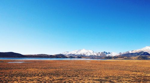 Scenic view of landscape against clear blue sky