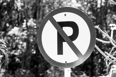 Close-up of road sign