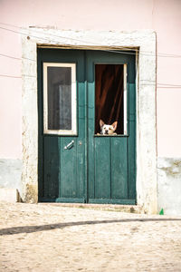 View of a window of building