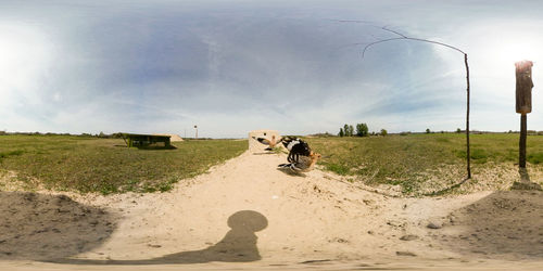 Birds on dirt road against sky