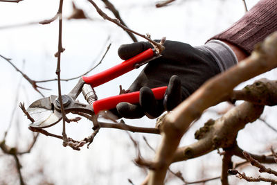 Low angle view of branches against sky