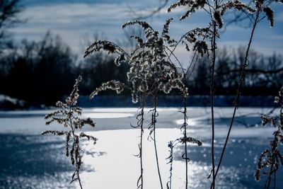 Frozen lake against sky during winter