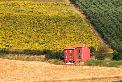 Built structure on field