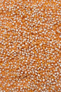 Full frame shot of beans