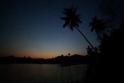 Silhouette palm trees against clear sky during sunset