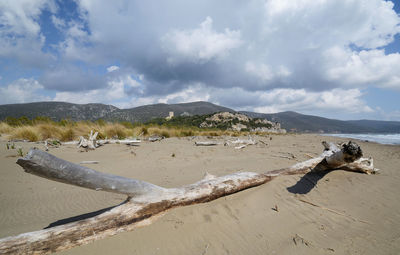 Scenic view of beach against sky