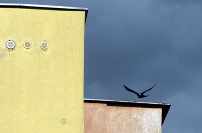 Low angle view of a bird against the sky