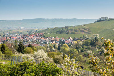 Scenic view of agricultural field by houses against sky