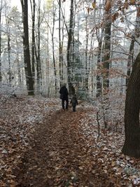 Rear view of people walking in forest