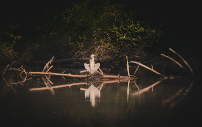 Traditional windmill in lake at night