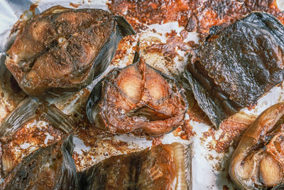 High angle view of fish in container