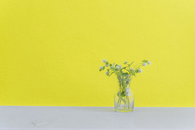 Close-up of flowers in vase against yellow wall