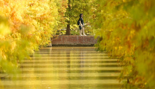 Statue amidst trees during autumn