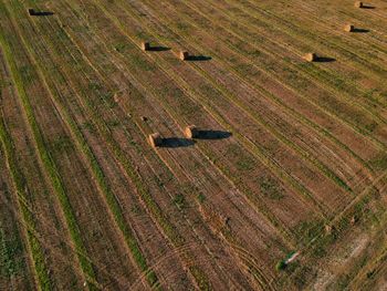 High angle view of cross on field